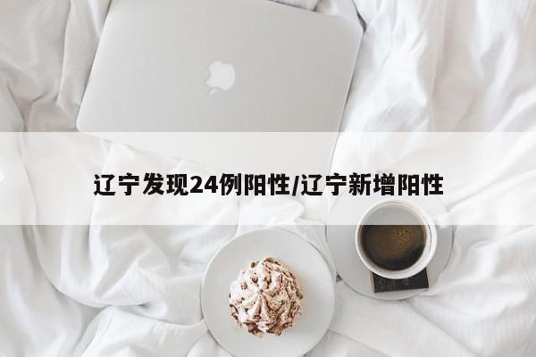 辽宁发现24例阳性/辽宁新增阳性